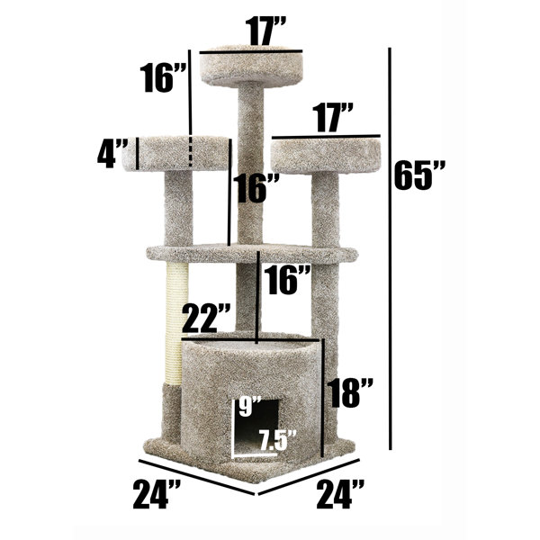Prestige Cat Trees 65" Maine Coon House Cat Condo & Reviews Wayfair